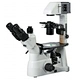 Inverted Biological Microscope